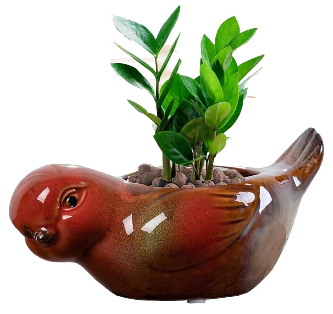 zmgmsmh Animal Shaped Planter Flower Pot Bird Shape Small Succulent pots with Drainage Ceramic Animal Planter, Indoor Plant Container Planter with Drainage Hole Home Office Desk Garden (Bird)