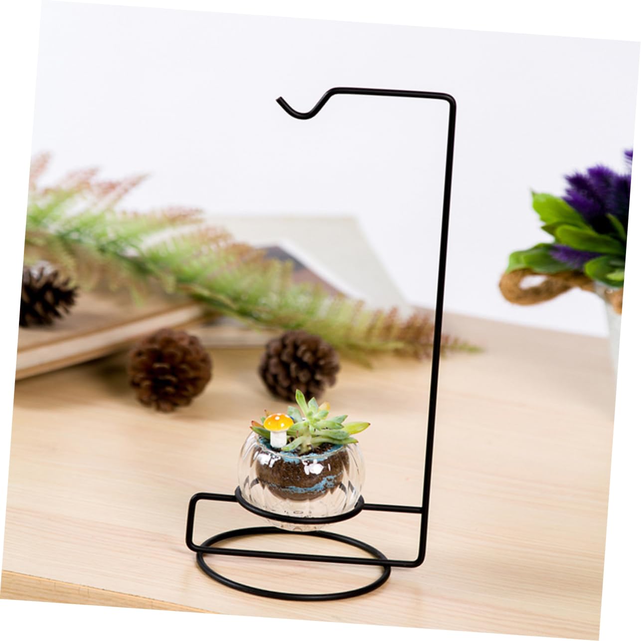 HAKIDZEL 5pcs Micro-Landscape Hydroponics Display Stand Glass Iron Plant Hanger Indoor Terrarium Decor