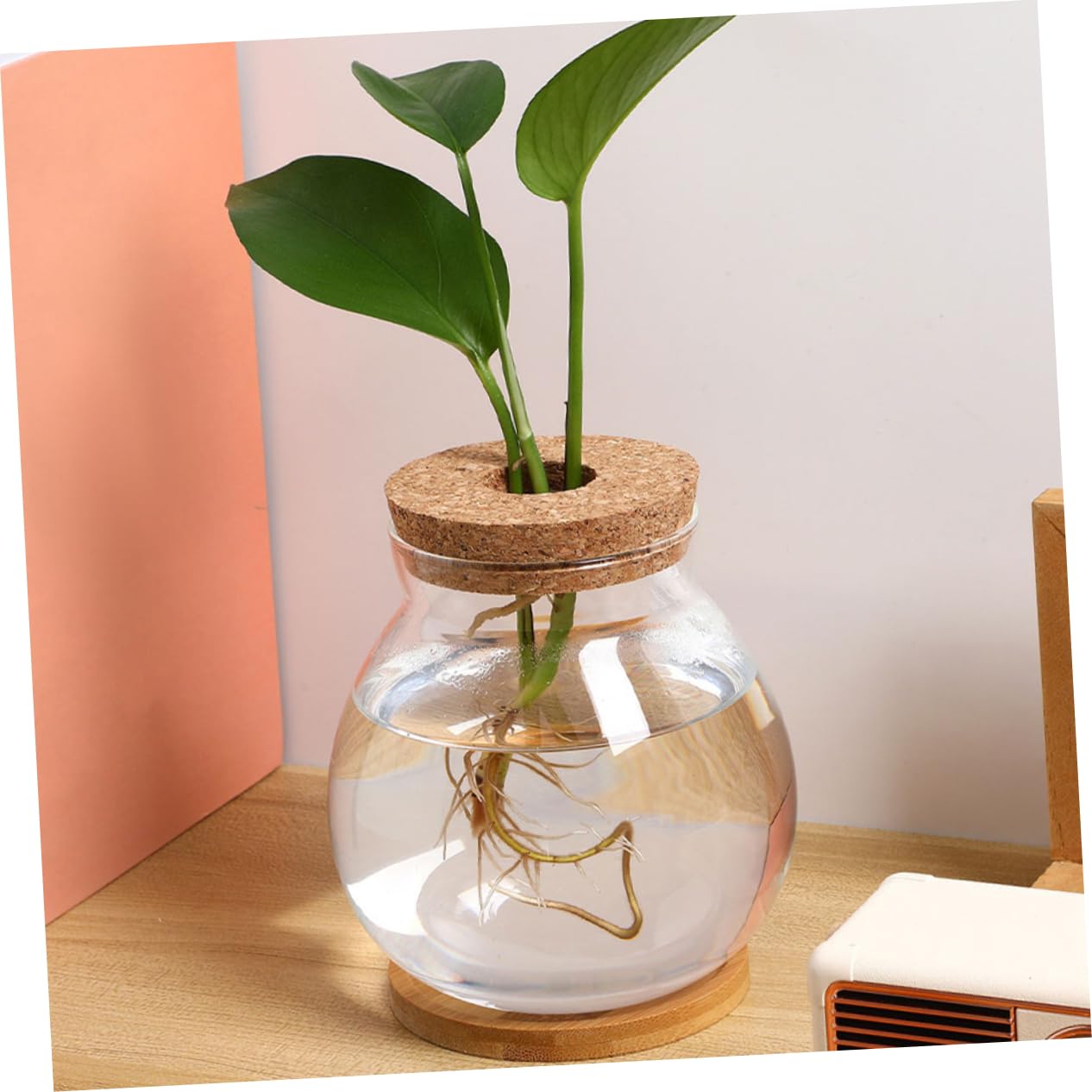 Toyvian Glass Hydroponic Vase with Wooden Base Elegant Propagation Container for Indoor Plants Terrarium Flower Pot for Decor Easy to Clean and Maintain
