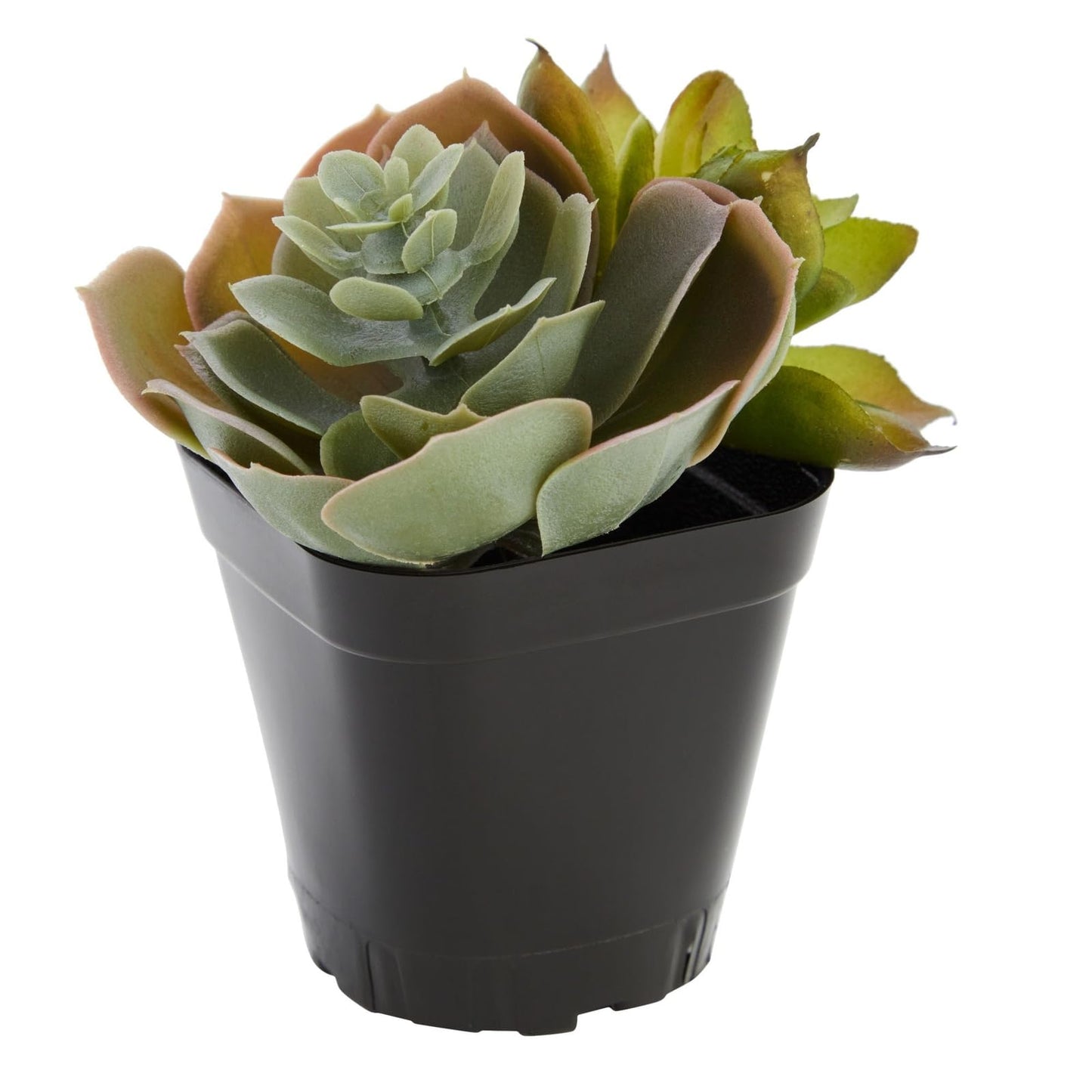 Juvale Square Nursery Pots - Seedling Planters with Drainage Holes - Versatile Pots for Plants & Succulents - Space-Saving Stackable Planters - 2.6 in, Pack of 150, Black