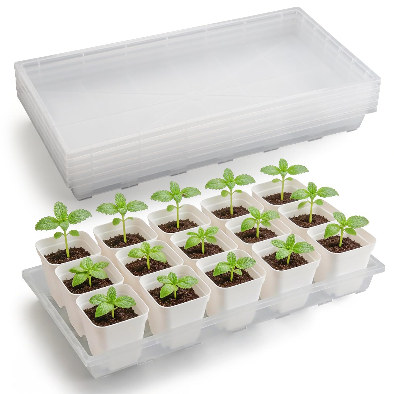 RooTrimmer 1020 Nursery Pot Trays 5 Pack, Transparent Plastic Flat Seed Starter Tray, Durable Square Seedling Starting Tray for Holding and Carrying Plant Pots (Clear)