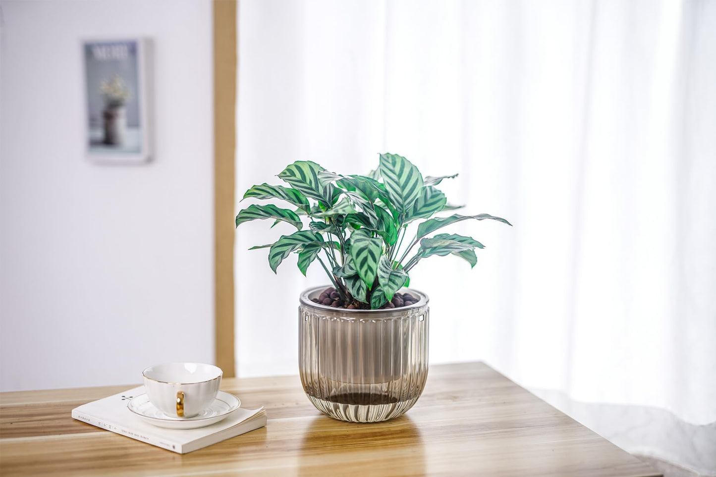 Melphoe Hanging Planters Outdoor and Indoor
