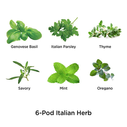 AeroGarden Assorted Italian Herb Seed pod Kit, 6-Pod