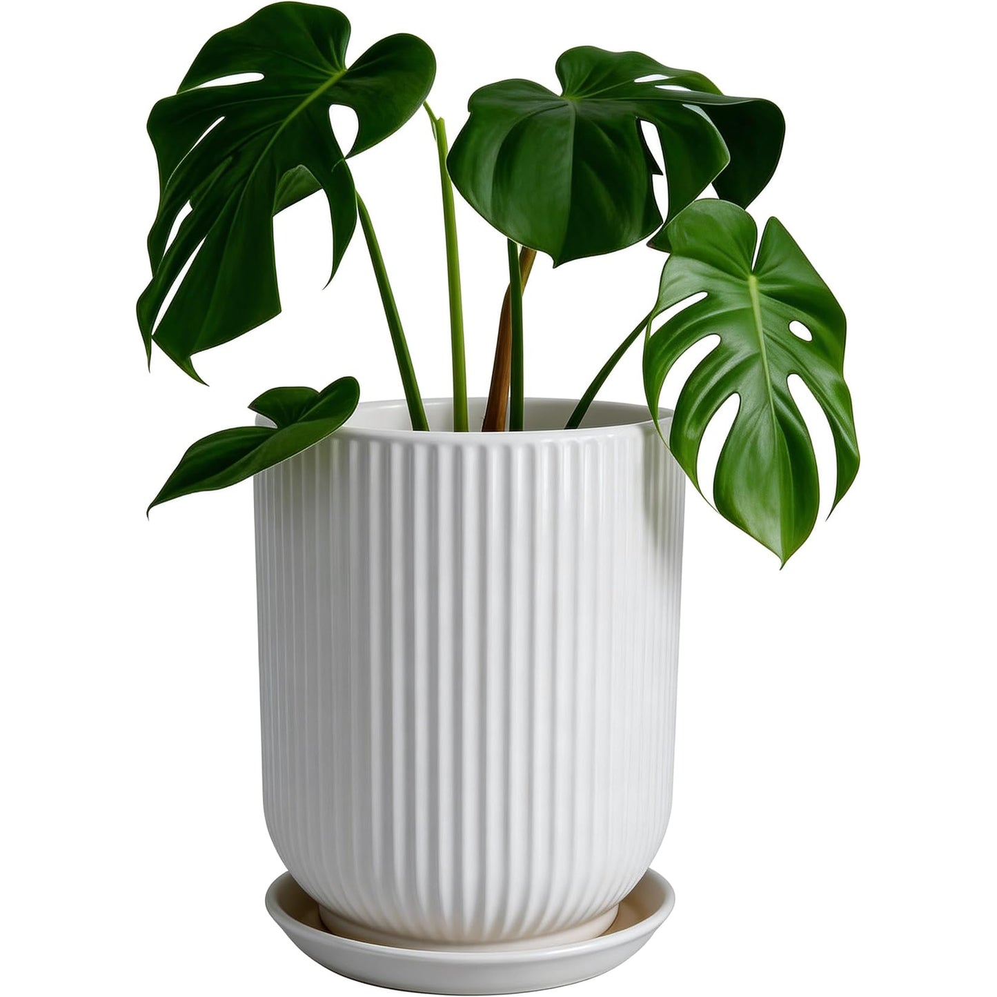Deep Dream 8 Inch Ceramic Pots for Plants, Heavy Plant Pot for Indoor Outdoor Plants, Large Plant Pot with Drainage Hole and Saucer, Modern Tall Flower Pot, Gifts for Plant Lovers, White
