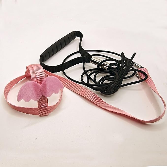 Pet Parrot Bird Harness and Leash, Adjustable Training Design Anti-Bite, Bird Nylon Rope with Cute Wing for Parrots, Suitable for Macaw Cockatoo Cockatiel Lovebird Conure African Grey (Green,L)