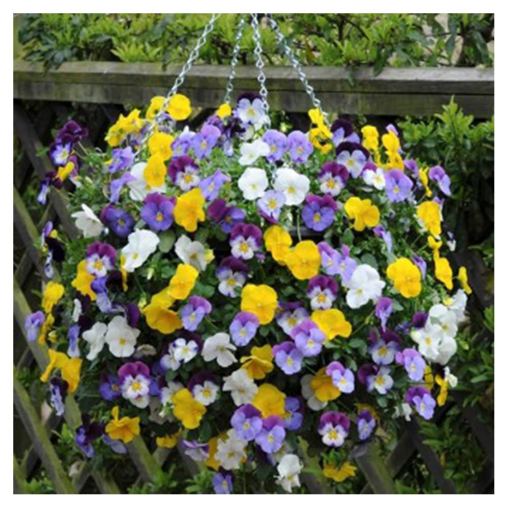 smart spring Ultimate Hanging Baskets - Strawberry, Tomato, Flower, and Herb Outdoor Planters - Use Garden Pots for Growing Plants Outside On A Deck, Fence, or Balcony (2)