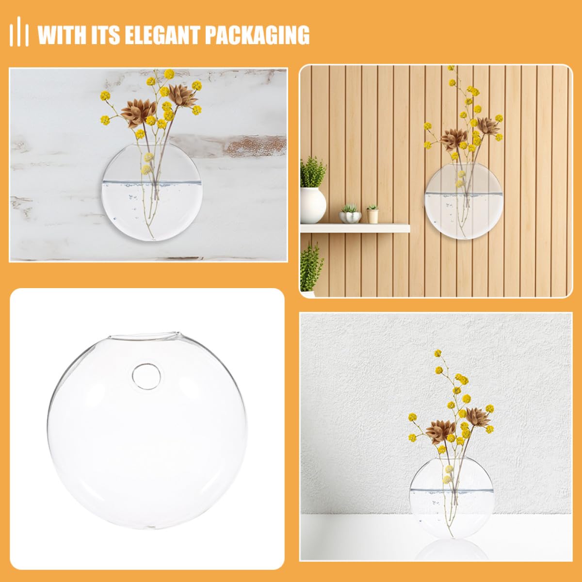 BESPORTBLE 2pcs Wall Mounted Glass Hydroponic Flower Vases, Flat Glass Terrarium Containers for Indoor Plant Propagation and Wall Décor