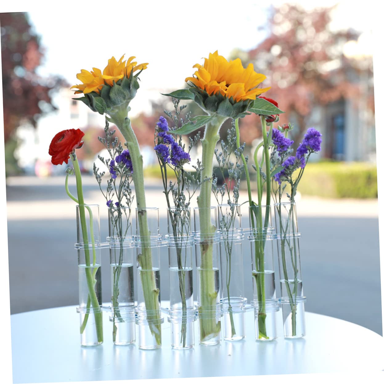 Happyyami Test Tube Glass Vase Set for Hydroponics Propagation Vases for Indoor Plants Decorative Glass Terrarium Planting Kit Home and Office Decor