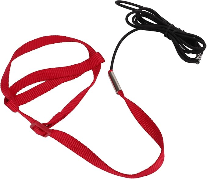 Elastic Parrot Harness Leash Bird Leash Bite Proof Harness Adjustable Parrot Flying Training Rope with Metal Hook Nylon Webbing for Cockatiels Walking (S)