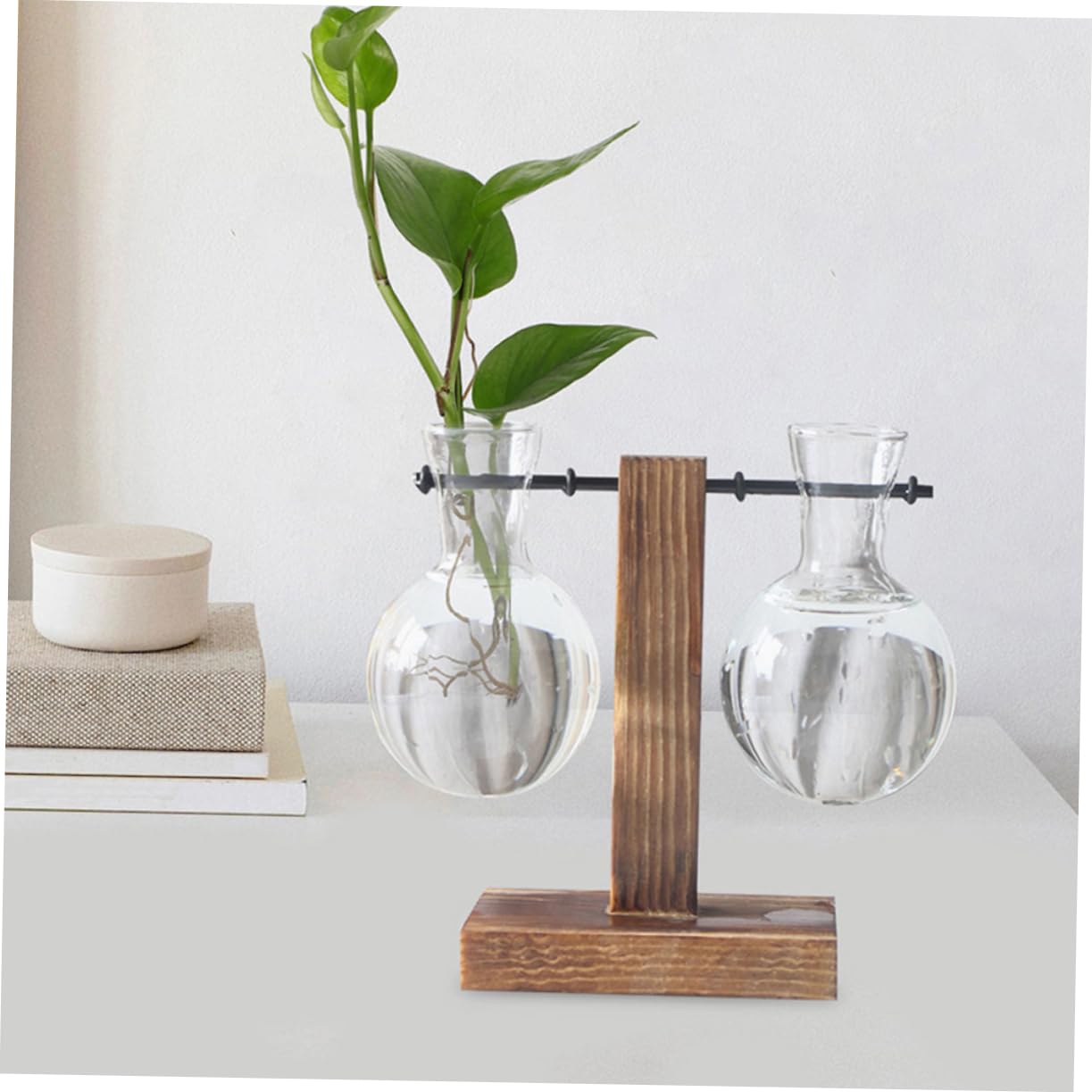 BESTOYARD 3pcs Hydroponic Propagation Vase Clear Glass Terrariums Stand for Plant Displays for Home Decor and Floral Arrangements