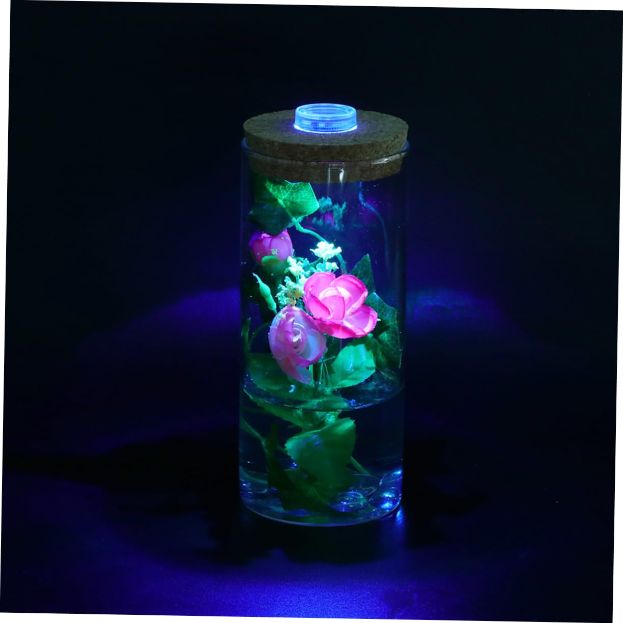 CORHAD Led Landscape Glass Bottle Modern Decor for Terrariums Indoor Plants Aquariums for Office Home