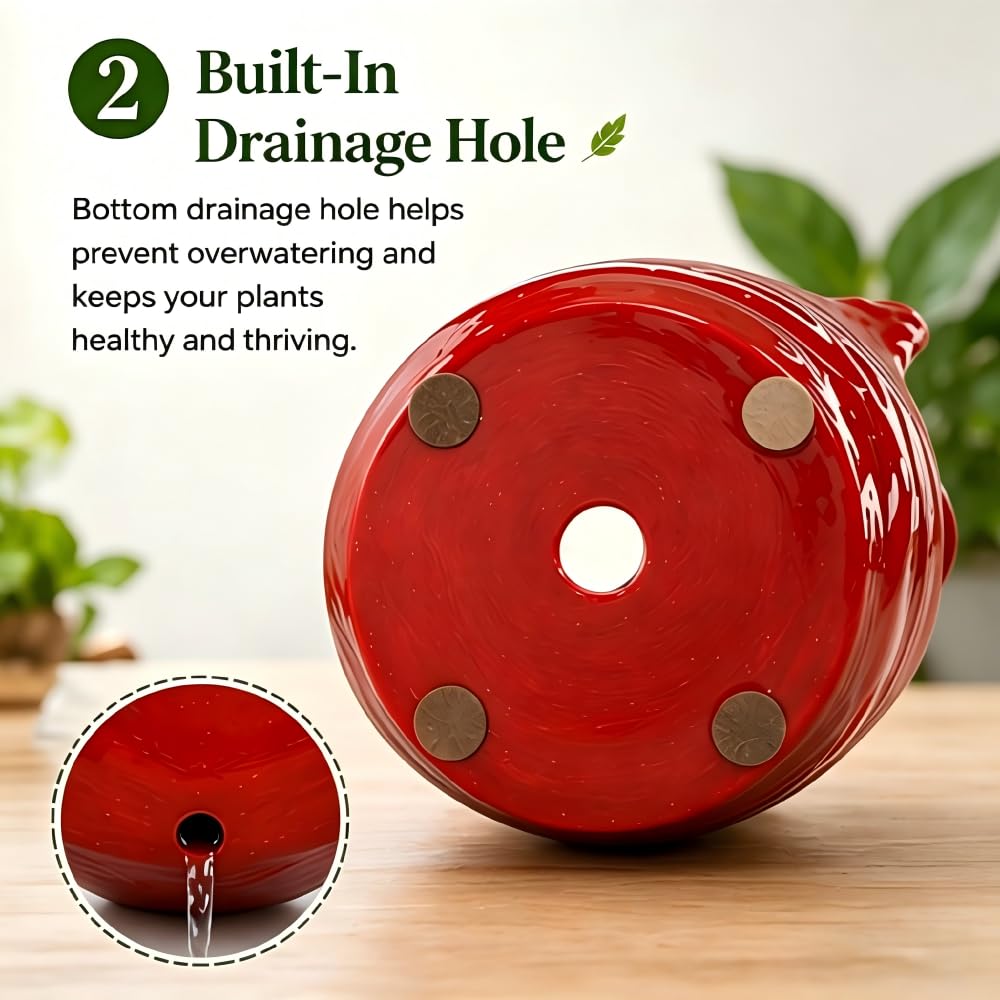 Cardinal Bird Succulent Planter, Red Resin Decorative Flower Pot with Drainage Hole, Cute Bird Plant Pot for Indoor Outdoor Plants, Animal Planter for Desk, Garden, Windowsill, Home Decor Gift (Red)