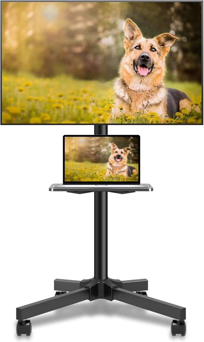 Mobile TV Carts on Wheels for 21-60 Inch Flat/Curved Panel Screens TVs