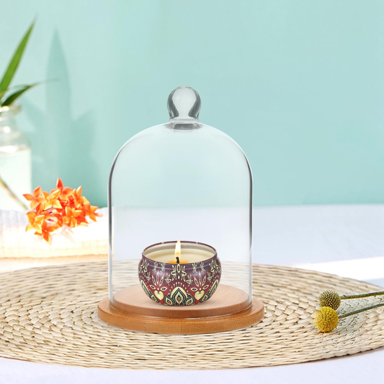 DEARMAMY Clear Glass Dome Cloche with Base Bell Jar Display Dome Office Home Decoration for Plants Succulents Fairy Lights Photos Medals Decorative Fill Collectibles