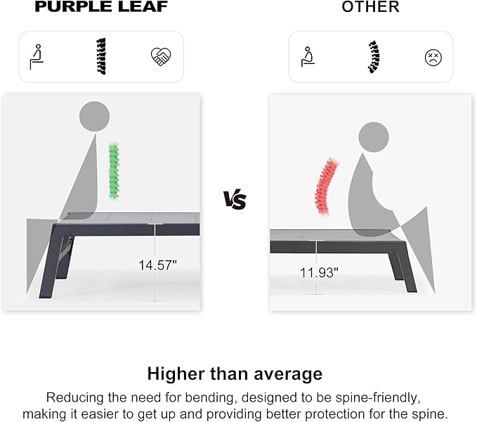 PURPLE LEAF Outdoor Chaise Lounge Set of 2 Aluminum Patio Lounge Chair