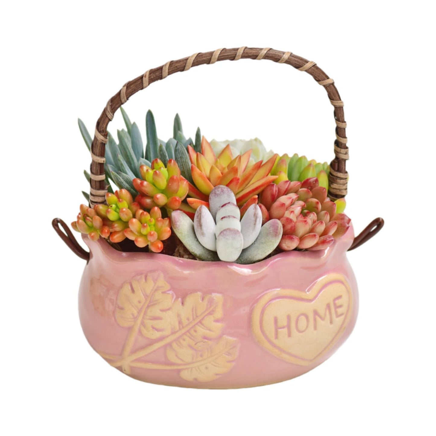 SUSOYAOCHEN Ceramic Succulent Planter Pots, 4 Inch Small Ceramic Plant Pot with Drainage Holes Flower Pots for Cactus, Herbs, Outdoor Plants (Pink)