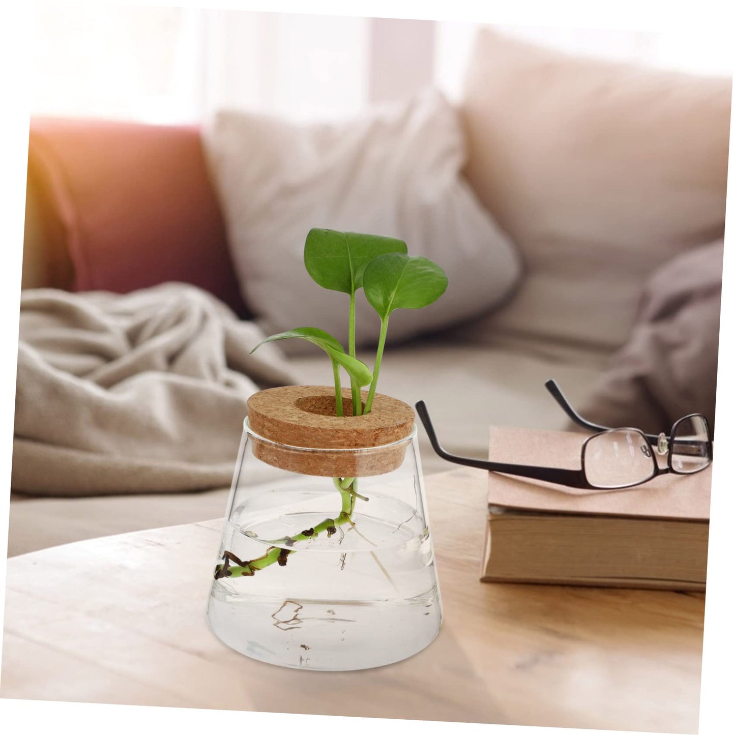 JUMPLAWN 2pcs Hydroponics Glass Planter Stylish Desktop Terrarium for Chic Water-Planting Vase for Indoor Gardening for Plant