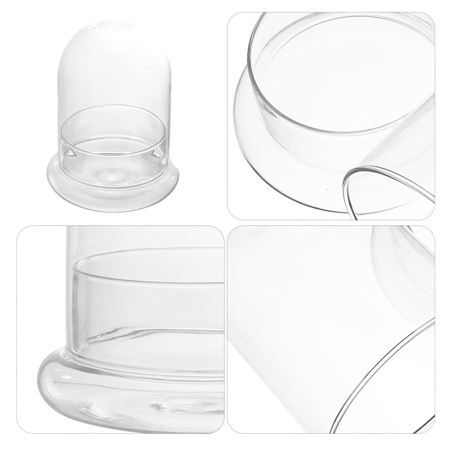 OUNONA Moss Ecosystem Bottle DIY Miniature Terrarium Glass Bottle Decorative Plant Vase for Home and Office Desktop Plant Container