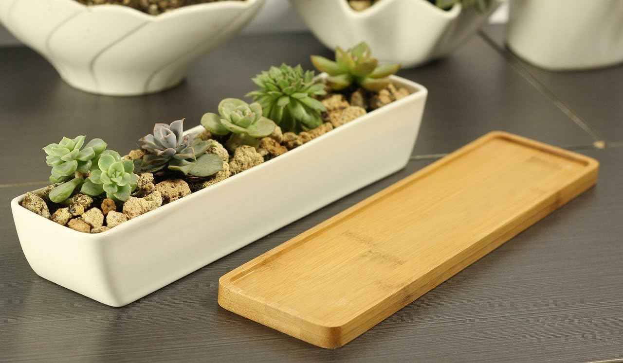 WISH HALLY WOOD 11inch Long Rectangle White Ceramic Succulent Planter Pots/Mini Flower Plant Containers with Bamboo Saucers. Product Size:11x2.23x1.69inch,not Include The Plant. (Long Rectangle)