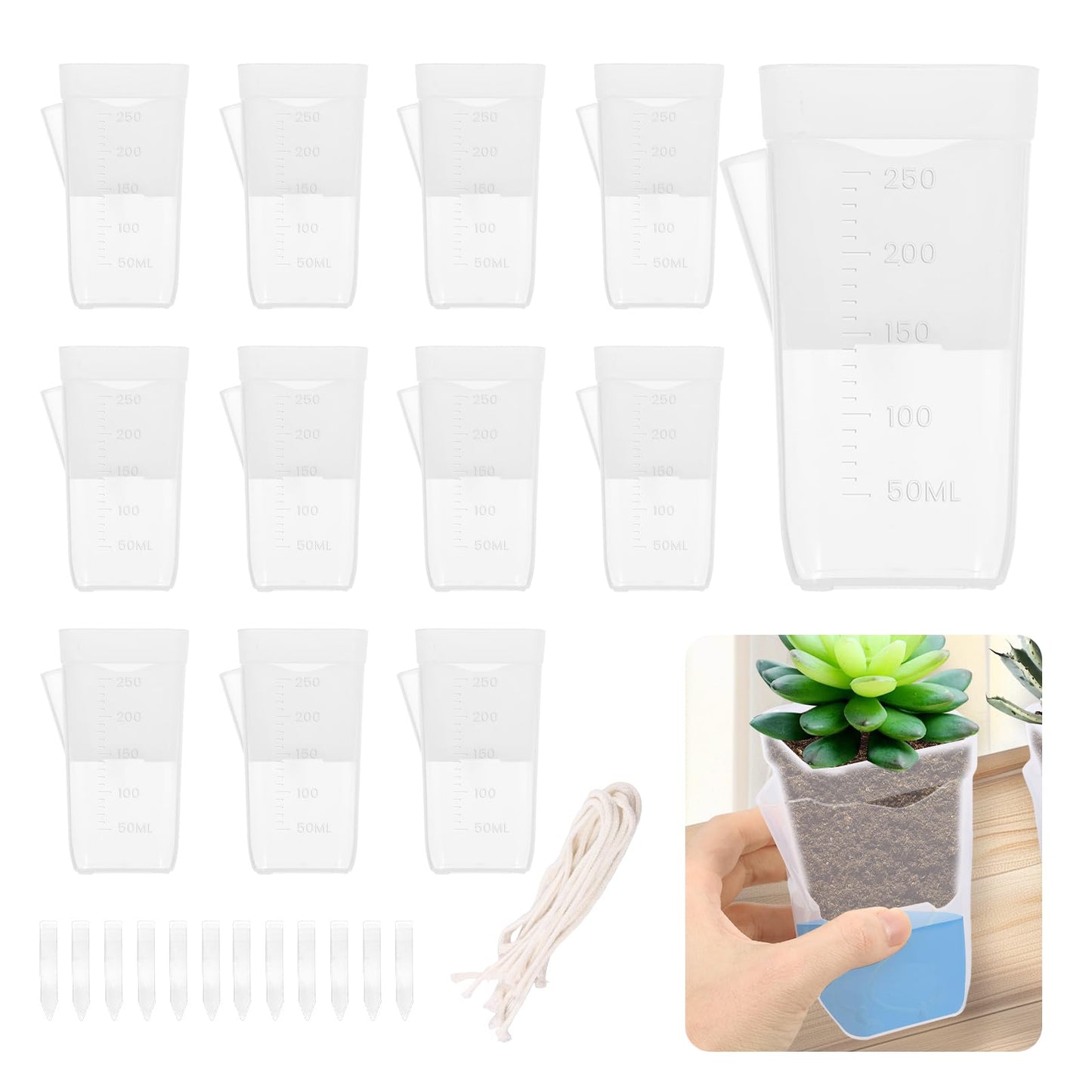 Fizocosisto 12Pcs 2.5Inch Self Watering Pots for Indoor Plant Mini Clear Plastic Planter for Hoya African Violets Alocasia