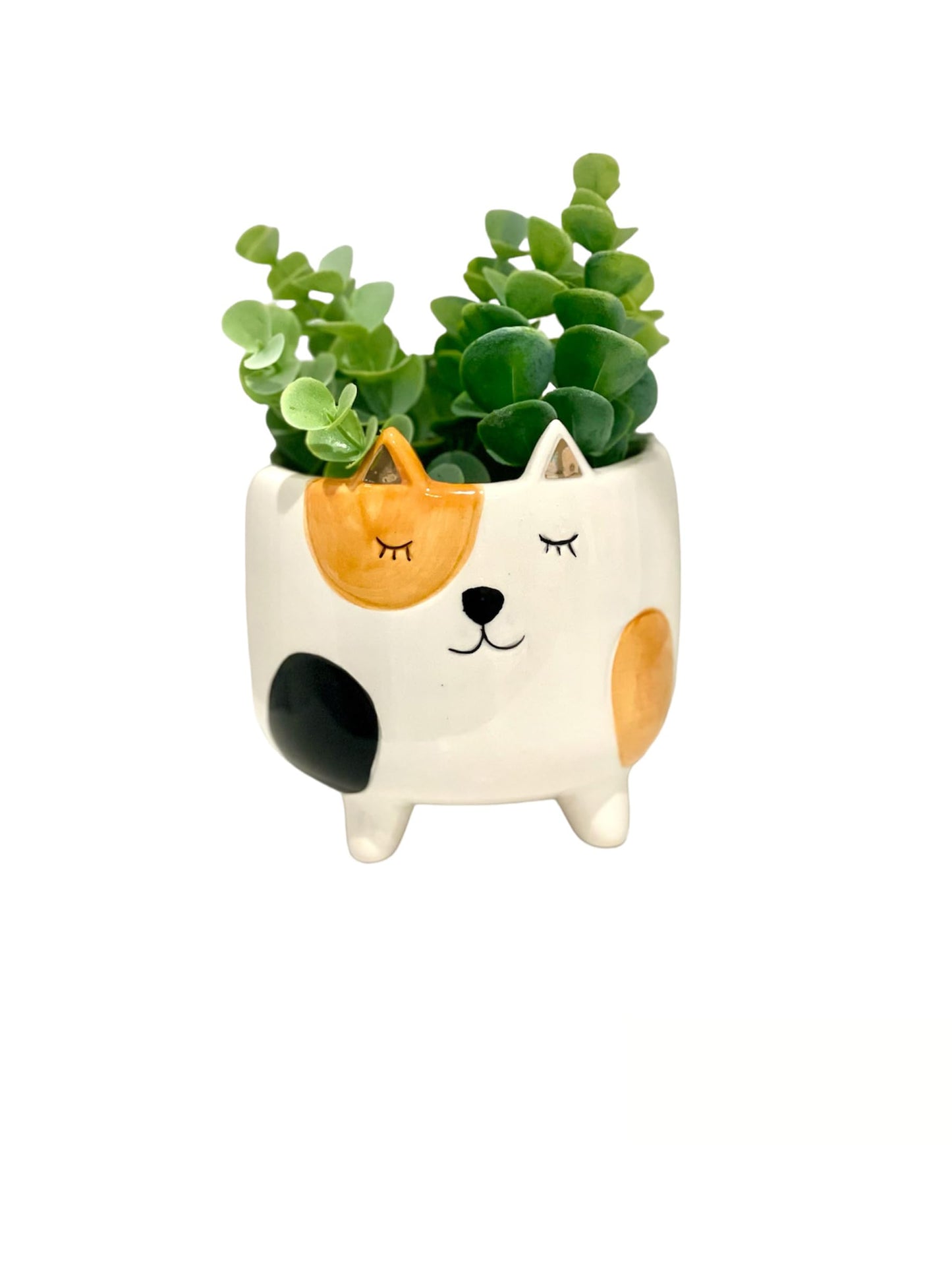 SparkDazzle Cat Planter Pot | Indoor Planter for Plants | Cat Lover and Gardening Gift | Animal Succulent Planter | Gifts for Women