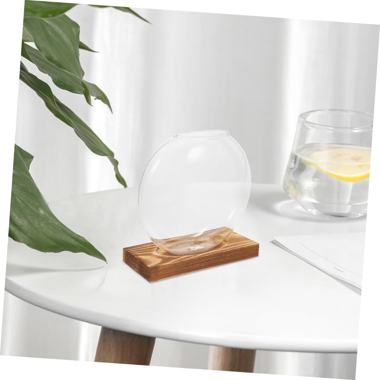 HOLIDYOYO 2pcs Hydroponic Glass Vases with Wooden Bases for Plant Propagation, Retro Terrarium Station for Home Office Desk and Balcony Plant Growing