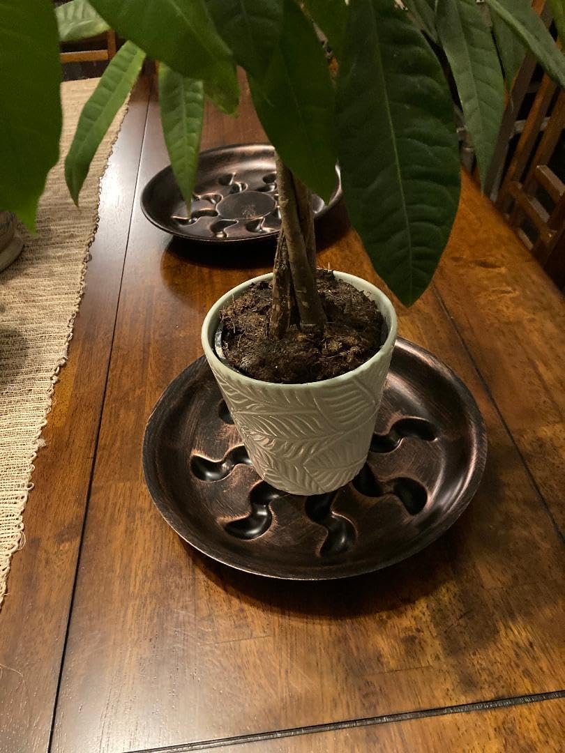 ZZPYXIA 4 Pack Heavy Duty Antique Bronze Plastic Plant Saucer Sturdy Pot Tray Plant Drip Trays Drip Trays for pots,Plant Water Catcher Tray,Plant Pot Saucers (8 INCH)