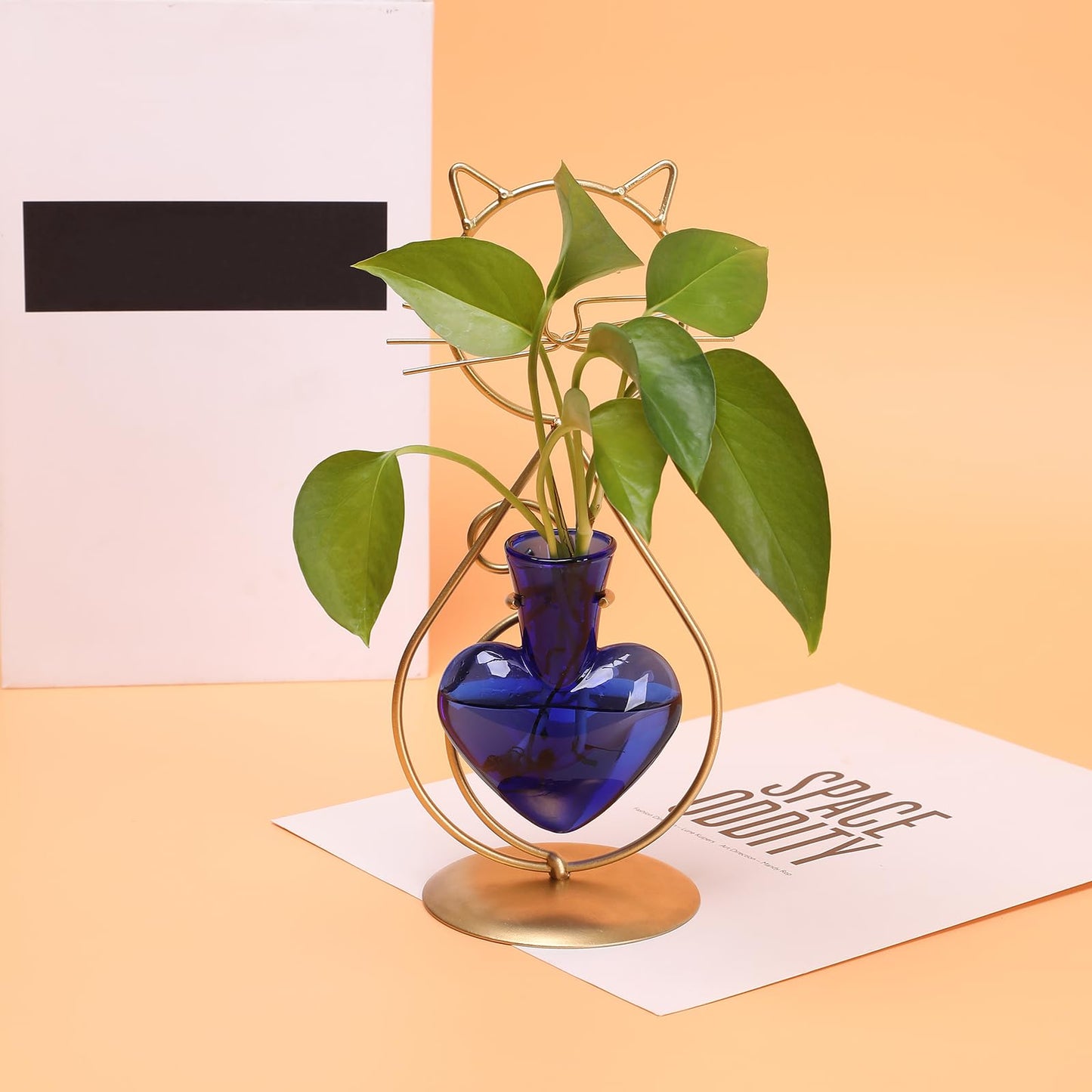 Plant Terrarium Plants Propagation Station Cat Lover Gifts for Women Home Office Decor Cat Desk Accessories