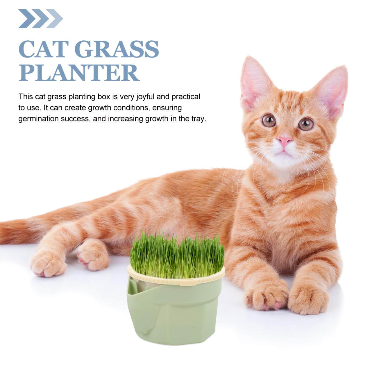 VICASKY Cat Grass Planter for Indoor Cats Seeds Kit Pot Hydroponic Cup: Soilless Catnip Growing Box for Indoor&Outdoor Kitten Use Wheat Cup with Removable Tray (Light Green)