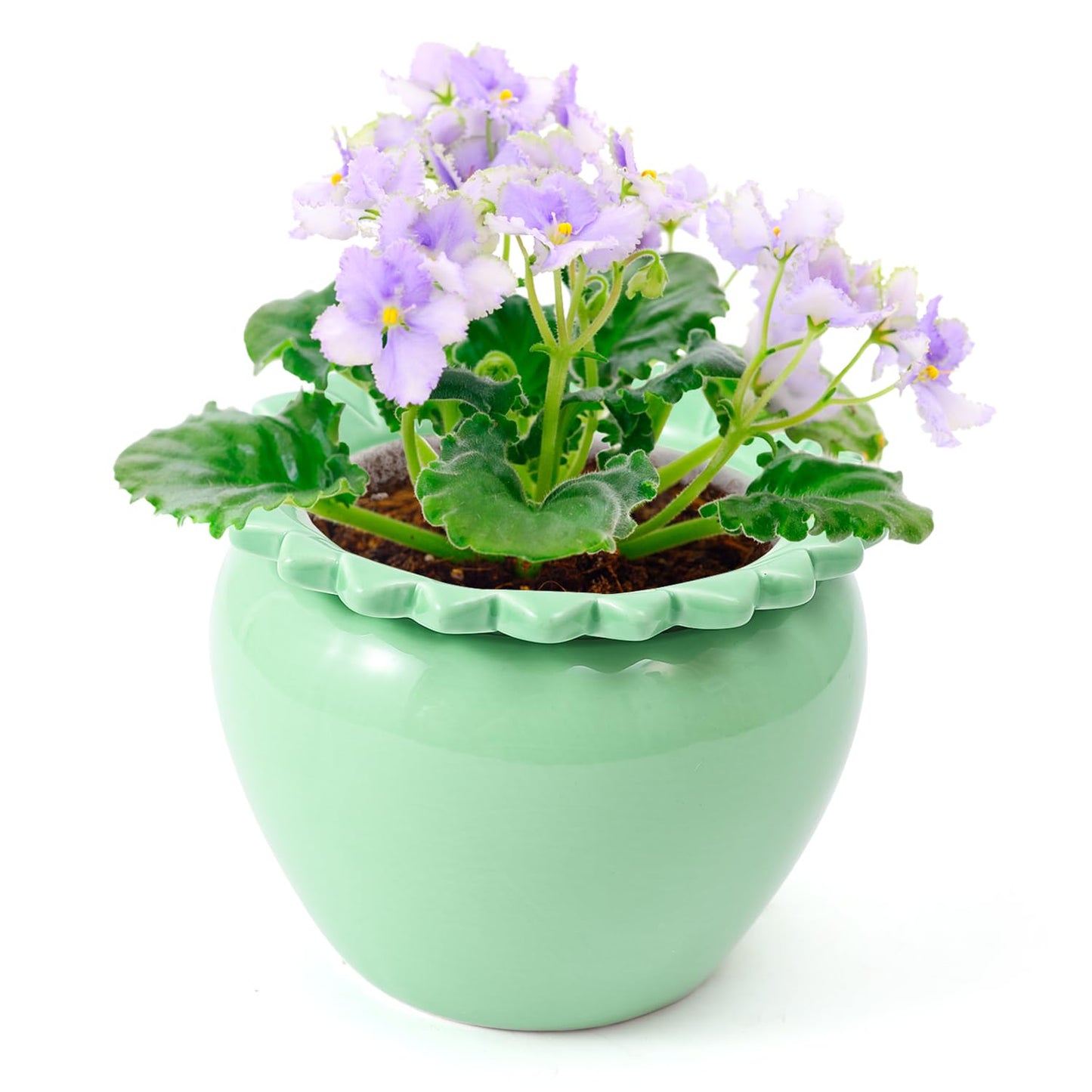 Tbpro Self Watering Plant African Violet Flower Pot 6.5 * 4.6 * 4 Inch Green Ceramic Pot Maintenance Indoor Plant Self Watering Seeder Plant Planting High Absorption Plant Inner Flower Pot
