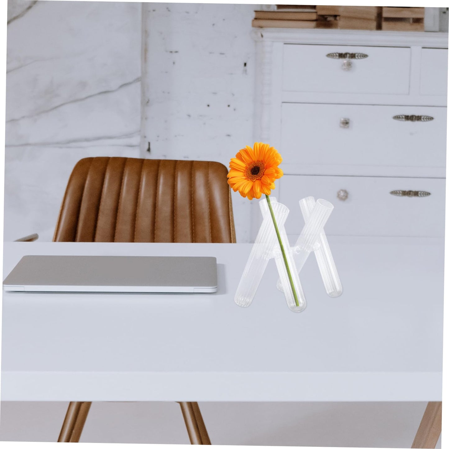 Yardwe Clear Glass Test Tube Vases for Hydroponic Plants Decorative Terrarium Tube Holders for Flower Display Desk Windowsill Supports Plant Growth and Home Decor