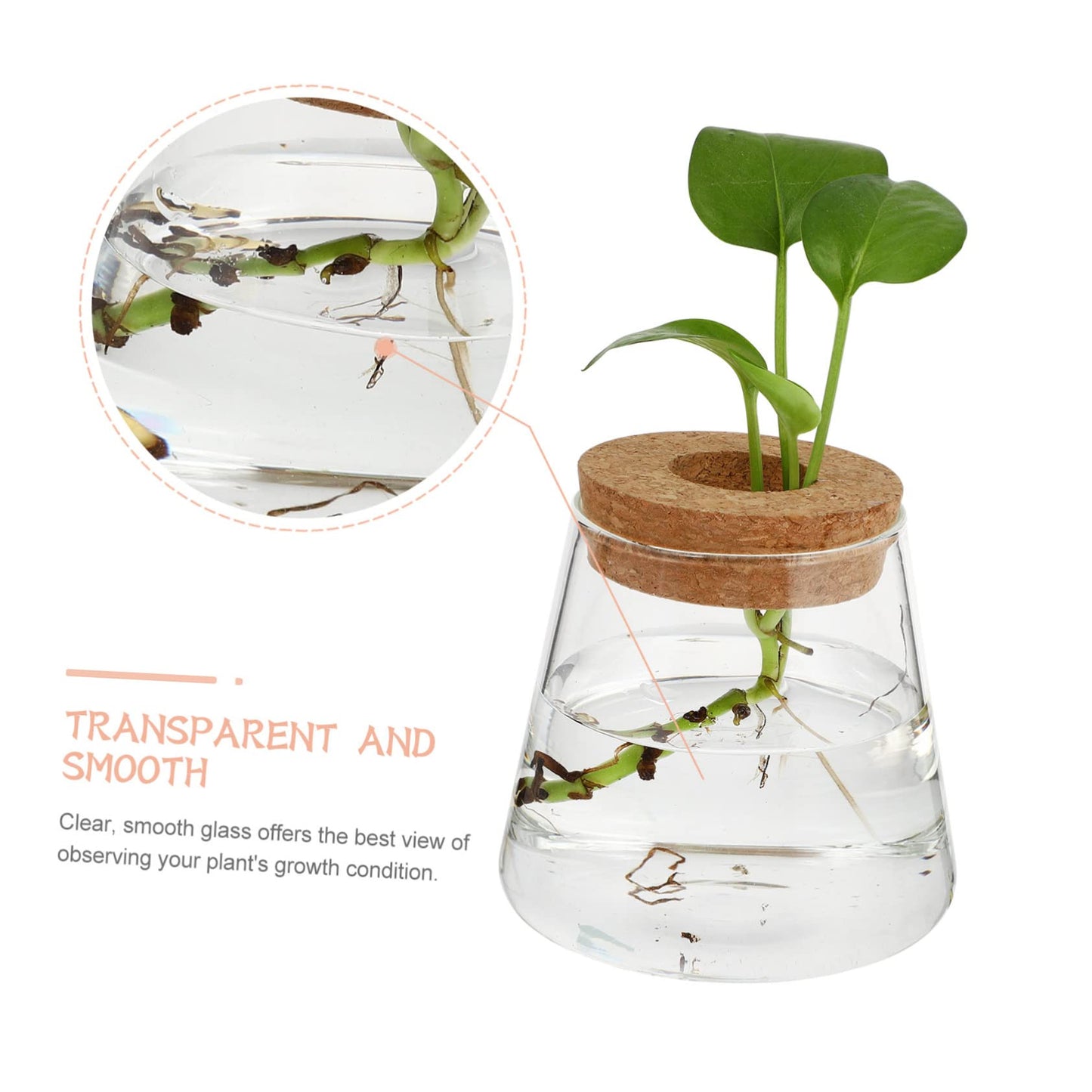 ETHZZLE 2Pcs Desktop Hydroponics Glass Planter Vase for Indoor Plants Chic Terrarium Containers for Home Office Decoration Floral Arrangement and Gift Ideas