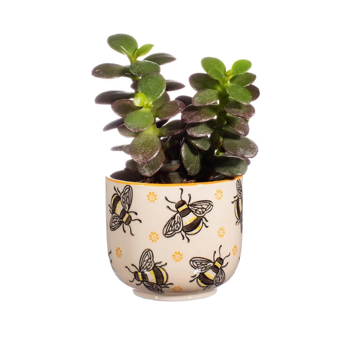 Sass & Belle Busy Bees Small Planter