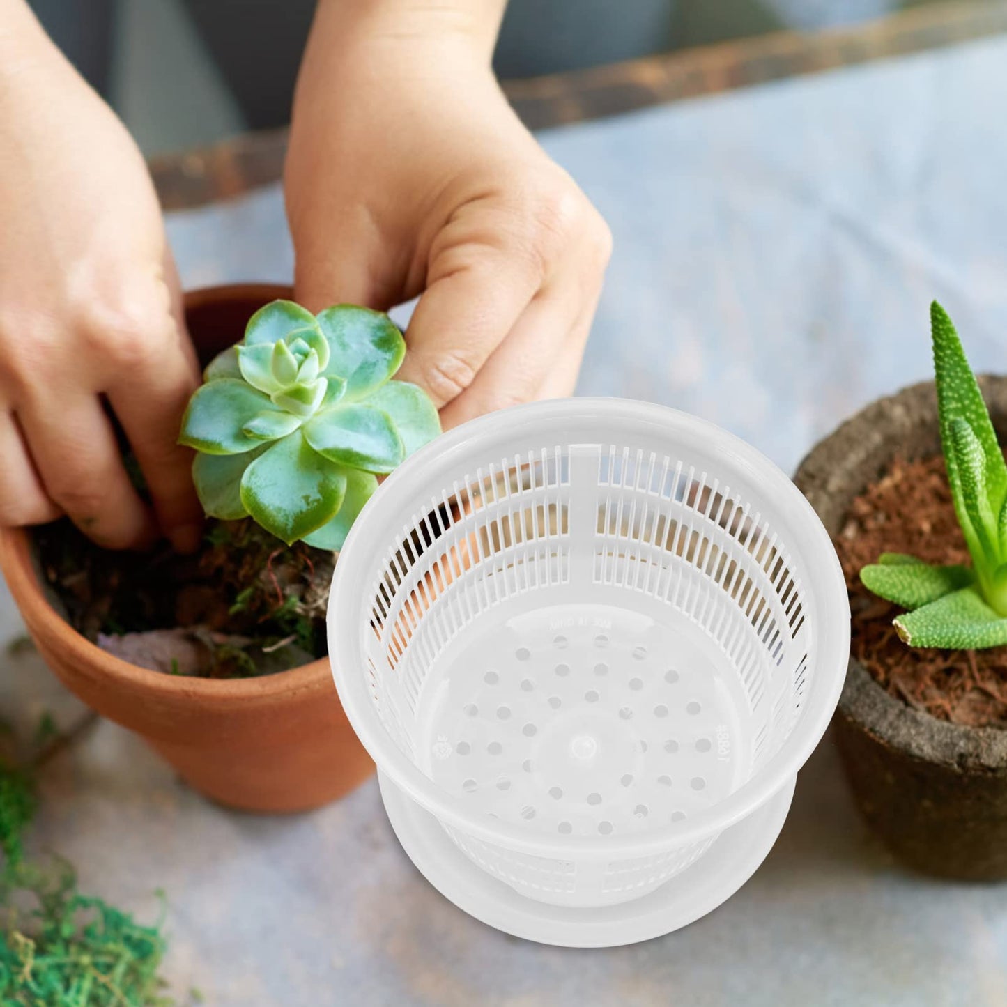 GANAZONO 4Pcs Plastic Orchid Pots with Drainage Holes 6.5 Inch Clear Succulent Nursery Planting Pots for Indoor Garden Balcony Decor