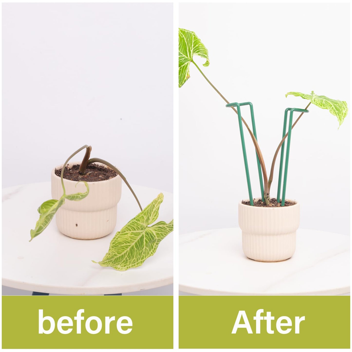 GOOOXIM Indoor Plant Stakes – 8.7" U-Shaped Durable Iron Support for Monstera & Potted Plants, Perfect for Small to Medium Climbing Plants, 10-Pack, Ideal for Home Décor & Plant Lovers