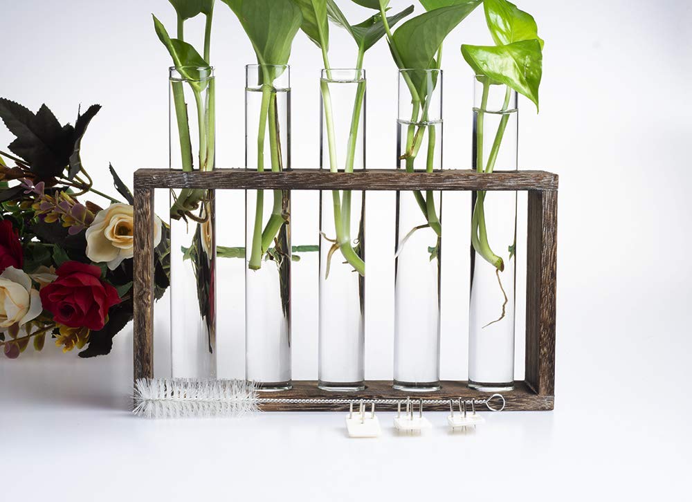PACDONA 5 Tube Wooden Plant Propagation Station, Tabletop Glass Terrarium Holder for Cuttings Hydroponics, Home Office Desk Decor Gift for Women Mom Plant Lovers, Brown