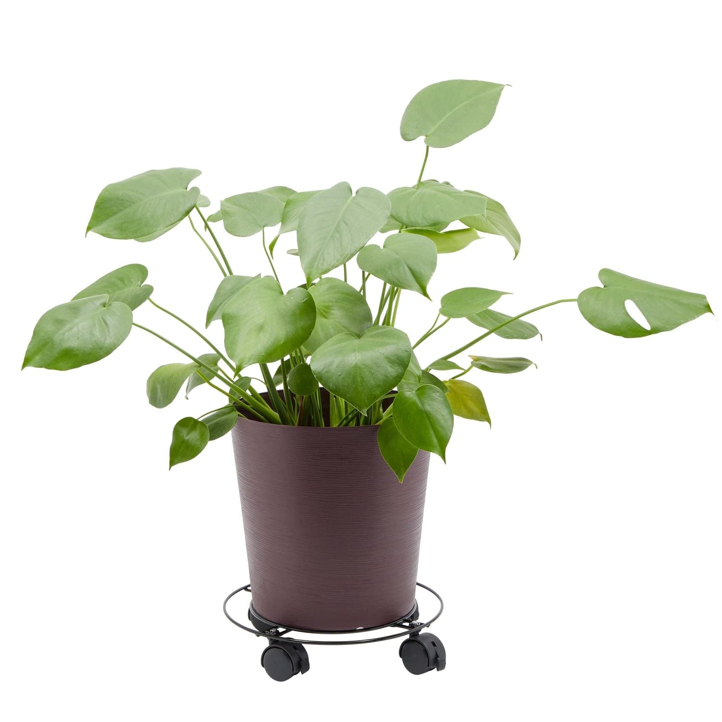Bright Creations Plant Stand with Wheels - 10.6 in Diameter, Black, Pack of 4, Modern - Metal Rolling Plant Stand Base with 360-Degree Rotation & Locking Casters for Indoor & Outdoor Planter Pots
