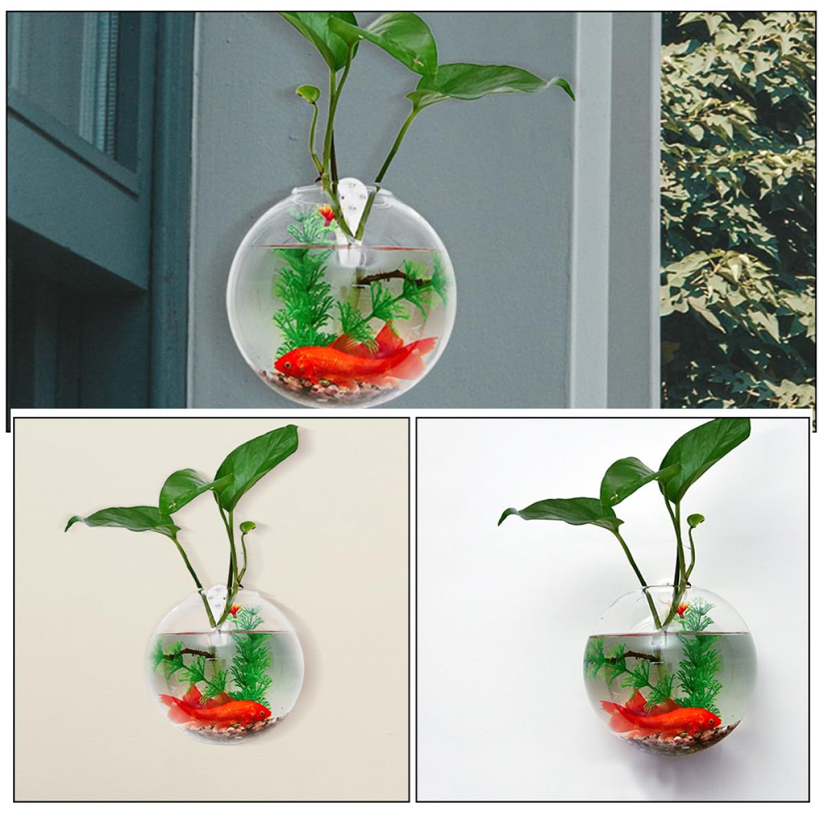 DOITOOL Hydroponic Wall Hanging Flower Vase Set 4pcs 10cm Glass Plant Terrarium Holder with Crystal Mud Nails for Indoor Home Décor and Succulent Propagation