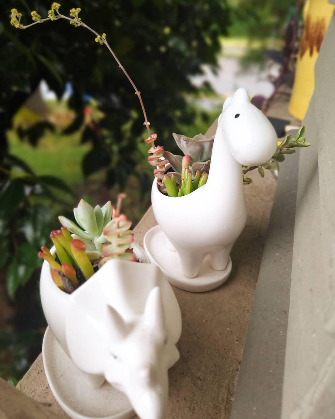 zmgmsmh Ceramic Succulent Plant Pot Cactus Plant Pot Flower Pot Container Planter with Drainage Hole Home Office Desk Garden Gift Idea Animal Shaped Flower Pot Cute Vase Pot (4pcs Dinosaur)