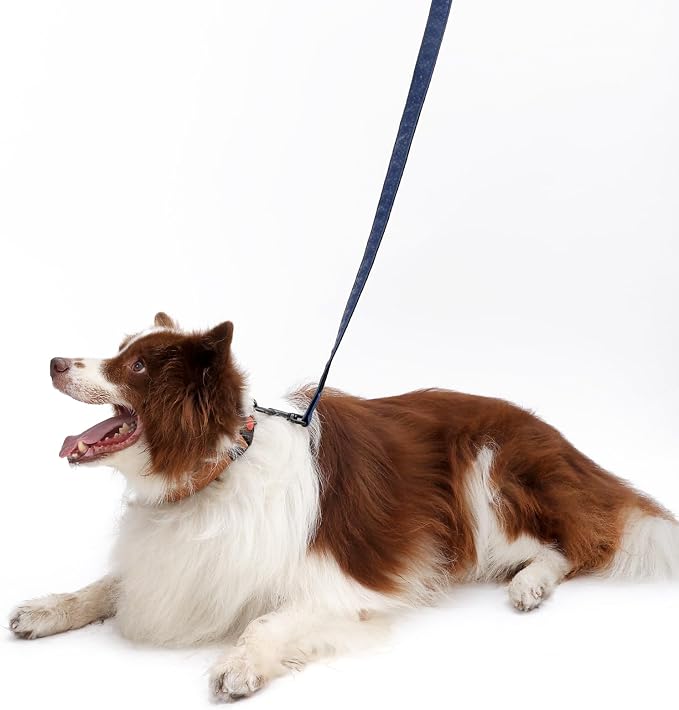 Soft Leather 4ft Dog Collar and Leash Set,Stylish 4ft PU Leather Dog Training Leash, Adjustable Durable Pet Collars with Quick Release Buckle for Large Dogs,Medium Dogs,Terracotta (Blue, 4 feet)