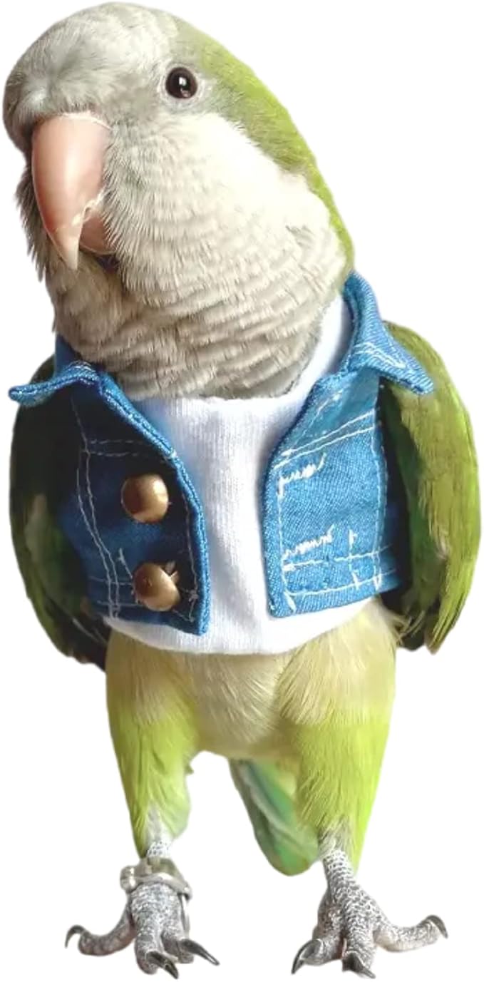 Bird Costume Bird Diaper Flight Suit Bird Jeans Fake Two Pieces Bird Clothes Cosplay Photo Prop for Parrots Lovebird Parakeet Cockatiel Small Animals Apparel (Without Diaper,Amazon)