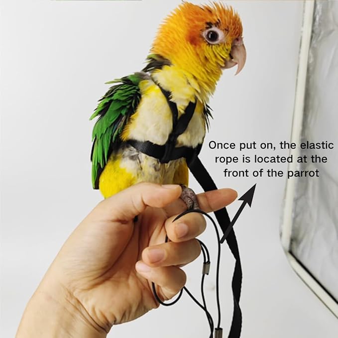 Adjustable Bird Harness and Leash for Parrots Outdoor Flight Training Anti-Bite Light Weight Easy-to-Wear Bird Vest with 59 Inch Elastic Leash for Quaker Conure African Grey Macaw Cockatoo (S)