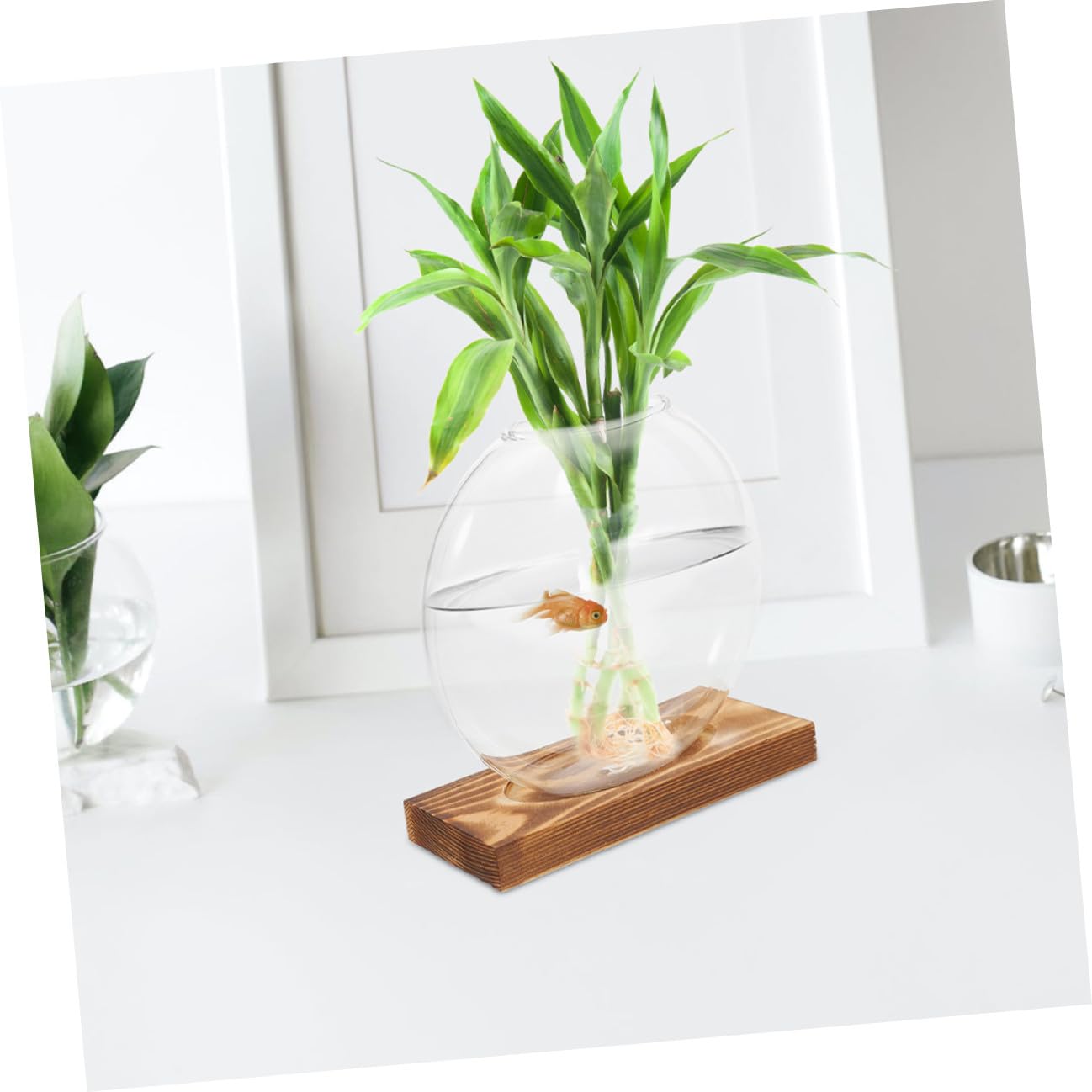 BESPORTBLE 2pcs Hydroponic Plant Propagation Vessels with Wooden Stand, Glass Containers for Home and Office, Plant Terrariums for Shelf Display and Indoor Gardening