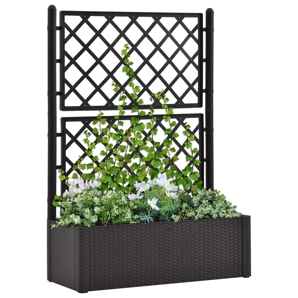 MNISDFL Metal Garden Planter Crop Bed Garden Planters Outdoor Planters Garden Raised Bed with Trellis and Self Watering System Anthracite Raised Flower beds for Growing Vegetables and Flowers