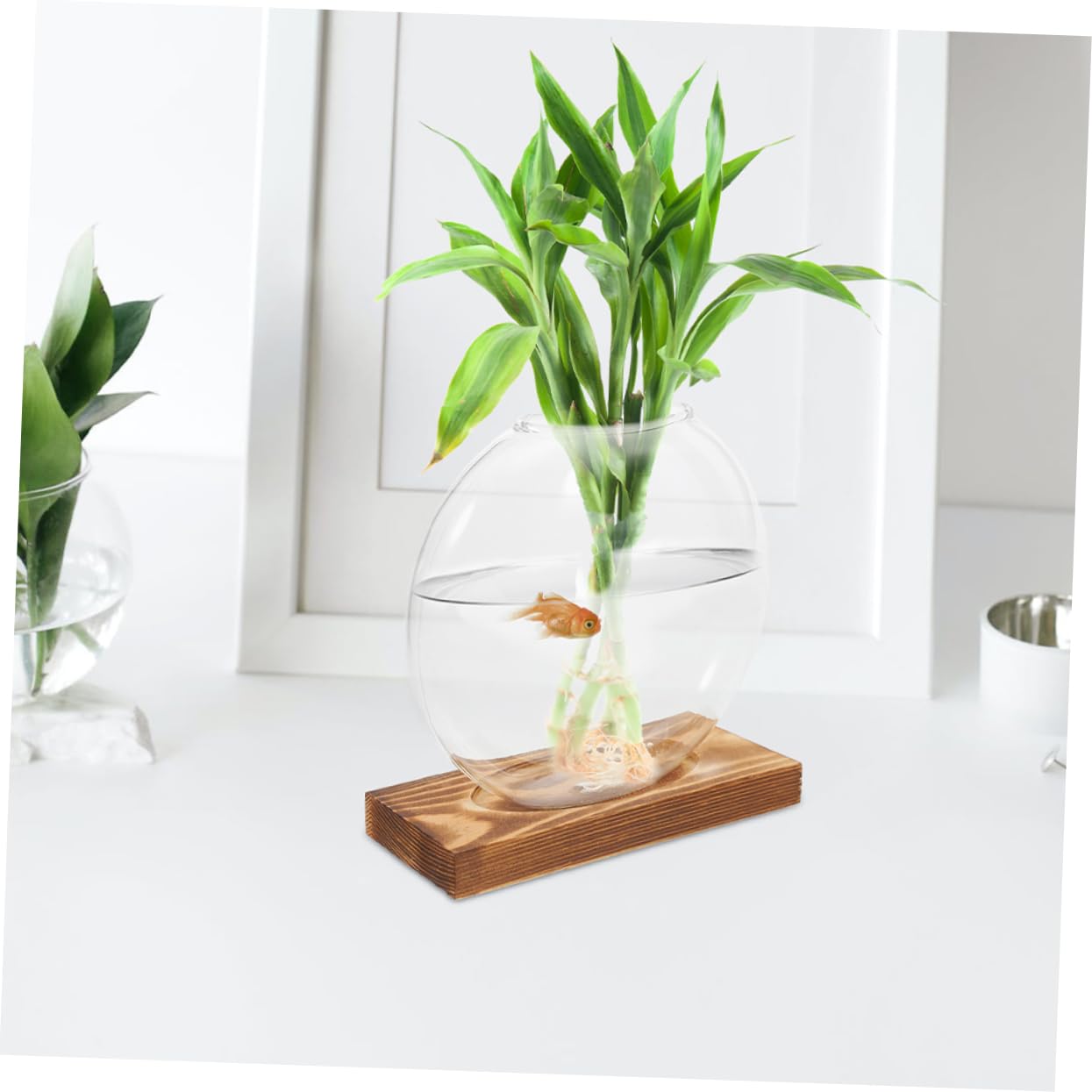 VALICLUD 2pcs Glass Planter: Transparent Glass Vase with Wooden Stand Hydroponic Plant Propagation Station - Stylish Terrarium for Home and Office Decor