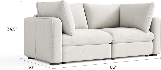 LINSY HOME Modern 2-Seater Sofa, Customizable Living Room Furniture