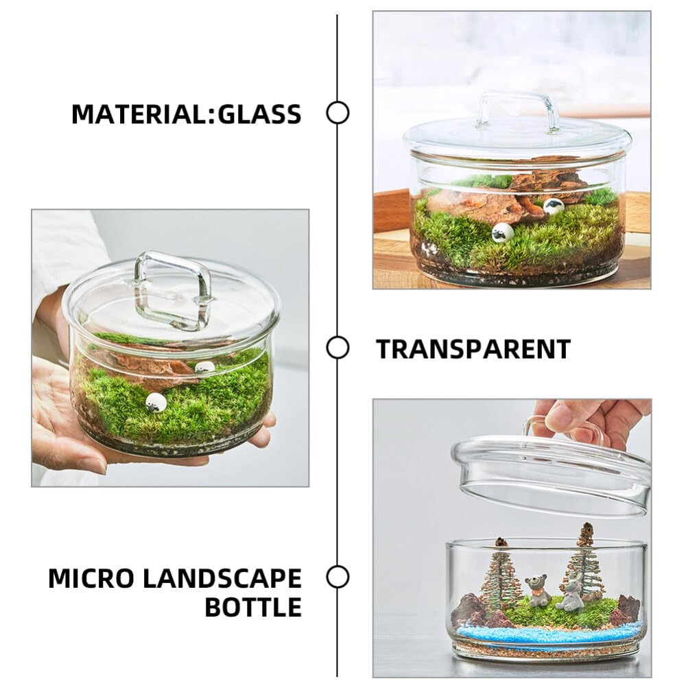 Baluue Creative Jar with Lid Glass Plant Terrarium with Lid Round Fish Bowl Air Planter Bulb Succulent Pot Vase Micro Landscape Bottle for Tabletop Decoration Bud Vases