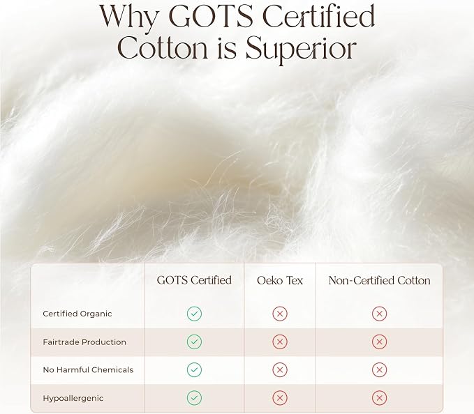 100% Organic Cotton Duvet Cover Queen Size - Naturally Soft Lightweight & Cooling Duvet Cover Set with Decorative Shams - Premium GOTS Certified 300 Thread Count Sateen Weave (White, Queen)