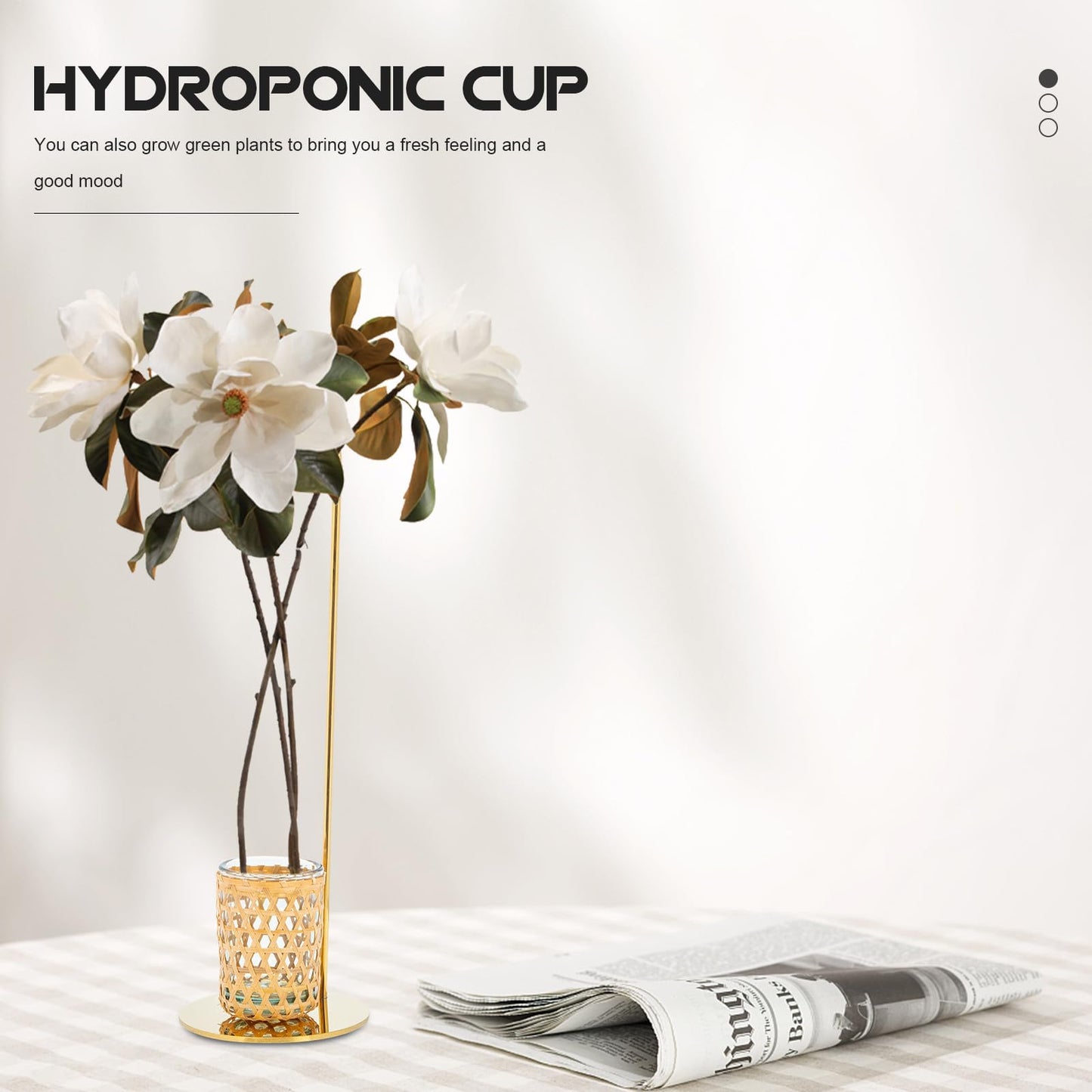 HYTROVE Nordic Style Woven Flower Vase Set with Glass Hydroponic Cup and Gold Metal Stand, Desk Planter Terrarium for Home Décor and Indoor Plant Arrangement