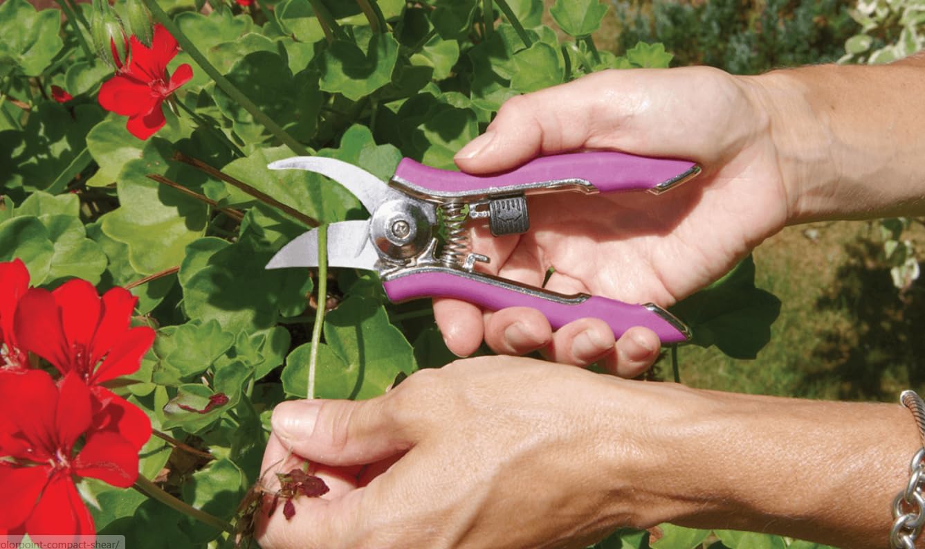 Dramm ColorPoint Stainless Steel Compact Garden Pruning Shears, Hand Pruner, Garden Clippers, with Heavy Duty Blade and Easy grip Handle, Orange